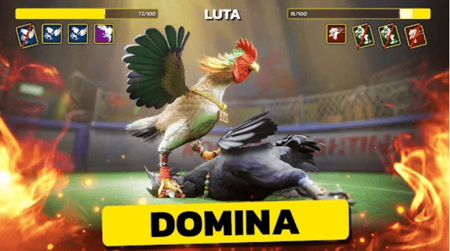 bbvv Brasil Plataforma de slots